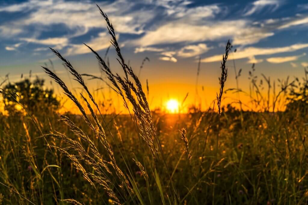 Photo d'un champ avec coucher de soleil